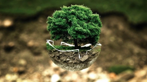 Am Rochereuil Menuisier Au Rheu Pres De Rennes Environmental Protection 683437 640
