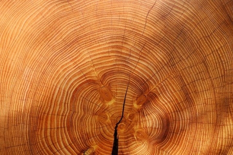 Am Rochereuil Menuisier Au Rheu Pres De Rennes Wood 3212803 640